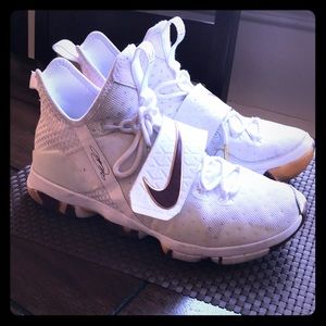 LeBron 14
